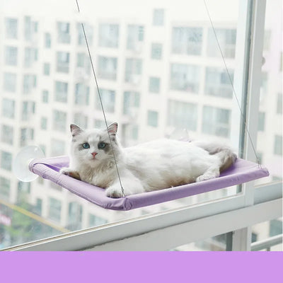 Pet Furnitures