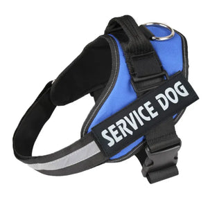 Pet Accessories