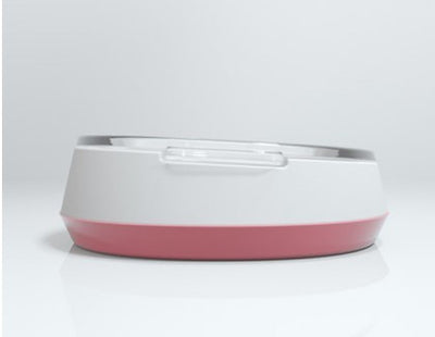 Pet glass bowl